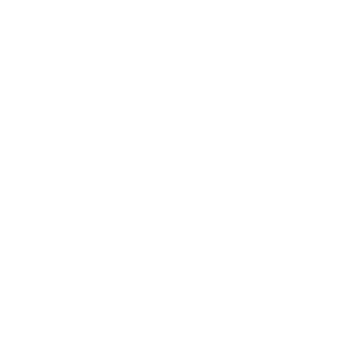Your WordPress website design