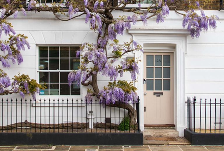 Getting Your Estate Agency Website in Place Before the Spring Market